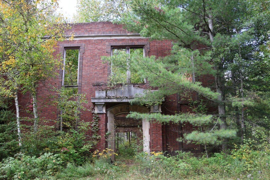 An abandoned brick building reclaimed by forest